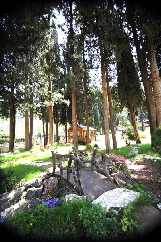 Hotel Lazurniy Bereg Gagra Exteriér fotografie